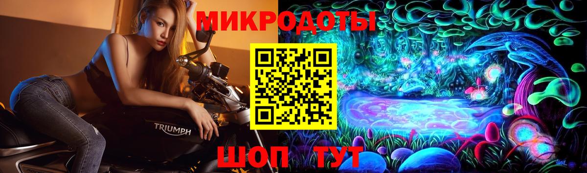 Псилоцибиновые грибы Psilocybe Уссурийск