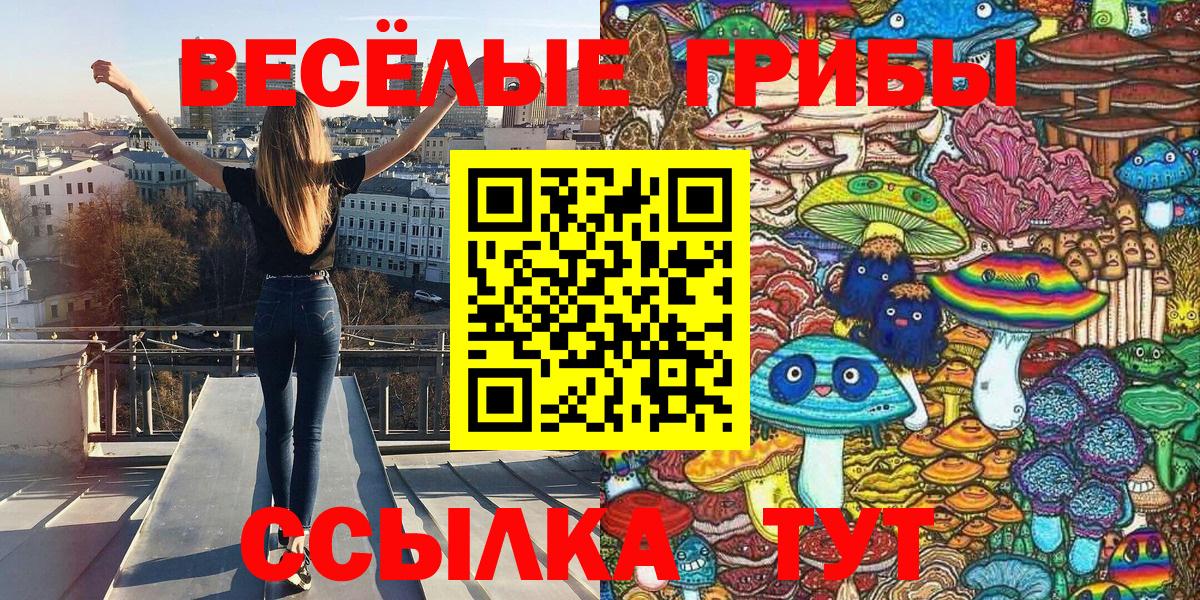 где можно купить   Псилоцибиновые грибы прущие грибы  Псилоцибиновые грибы мицелий  Вход с VPN  Уссурийск 